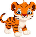 Tiger Expectations